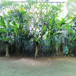 Kubu Kenak Guesthouse