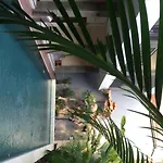 Kubu Kenak Guesthouse