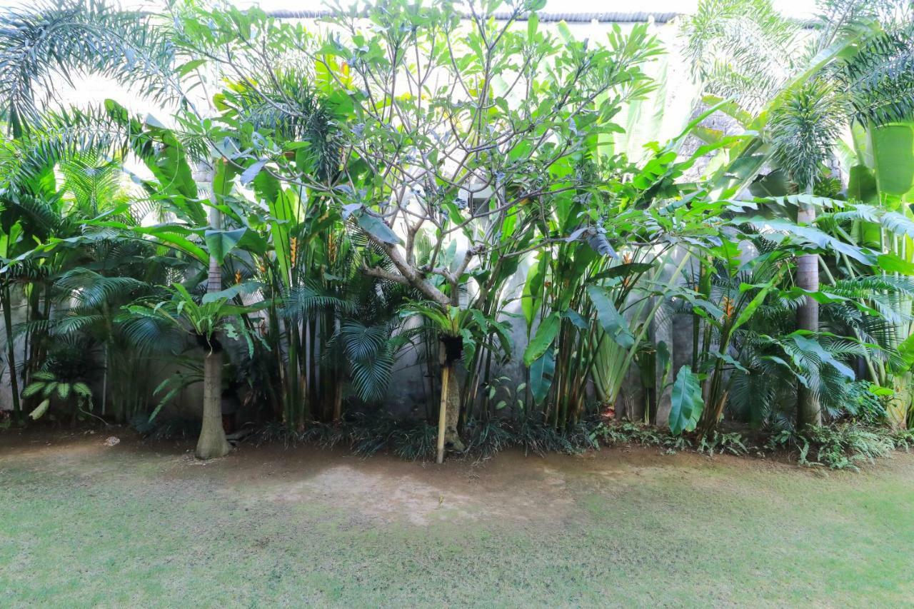 Guest house Kubu Kenak Seminyak (Bali)